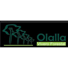 OLALLAFORESTAL.jpg