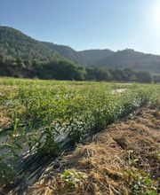 NutraPosuna imagen 8