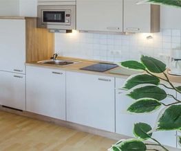 Wellness-Camp Düne 6 Bild 9