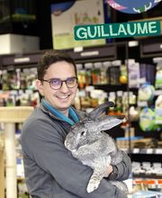 Tom&Co Denain image 5