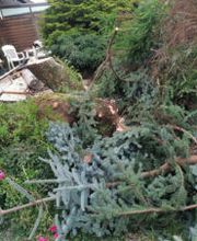 Nushi Garten- und Landschaftsbau & Hausmeisterservice Bild 1