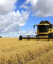 AGRÍCOLA SC imagen 3