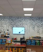 Théodore Maison de Peinture image 2