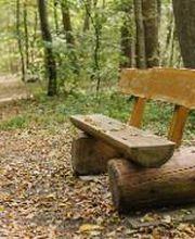 Bänke an den Waldwegen im FriedWald Burg Plesse laden zum Verweilen ein.