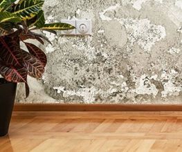 AQUA CONCEPT GmbH Bild 2