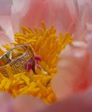 Strobel Uhren und Schmuck Bild 12