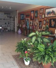 Gallery Cliente