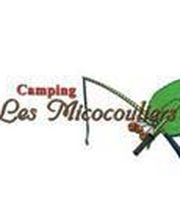 Les Micocouliers image 17