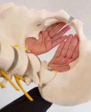 Rücken Center med. Bild 5