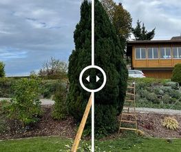 Garten Vibes GmbH Bild 2