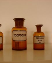 Eickhoff, Sabina Bild 2