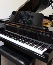 B Natural Pianos & Music School image 15