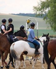 Ecuries Lalye GUILLAUMEE CHANTAL image 1