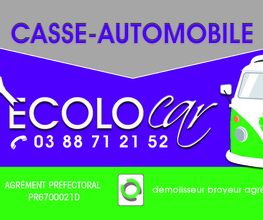 ECOLOCAR image 2