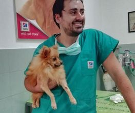 Centro Veterinario Maccauro immagine 10