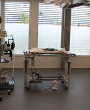 Kleintiermedizinisches Zentrum vet4pet Bild 11