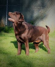 Tanja Wiedenmann Bild 13