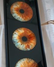 Iris Galerie image 12
