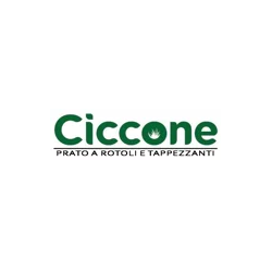 Azienda Agricola Ciccone Pasquale logo