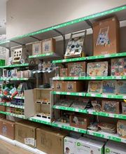 Orchestra BEGLES - BORDEAUX image 7