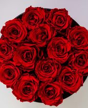 Blumen Kaiser Bild 2