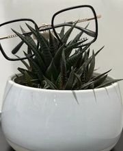 EYE'S HEAVEN - Opticien Paris 19 image 2