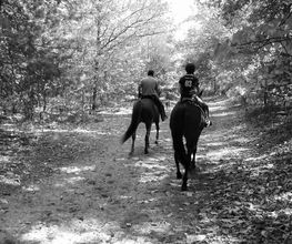 Cheval Nature image 10