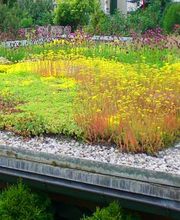 Farner Gartenbau AG Bild 4