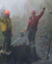 North Zone Fallers image 4