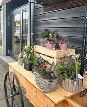 Garden Édelweiss Romont SA Bild 5