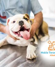 Mobile Tierarztpraxis Alfeel Bild 2