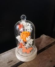 Aux Fleurs Et A Mesure image 9