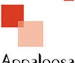 Appaloosa image 3