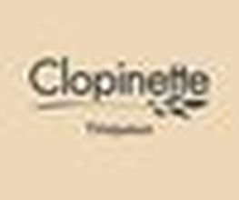 Clopinette Cigarette Électronique image 1