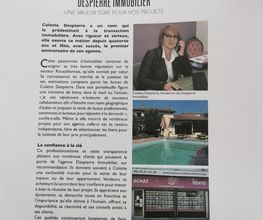 Despierre Immobilier image 1