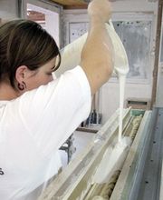 Wenger, Hess & Partner AG