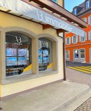 VB Immobilier Sàrl Bild 1