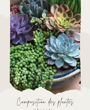 Service des fleurs image 4