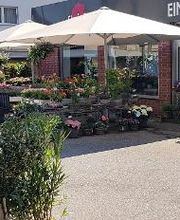 Floria Blumen Bild 2