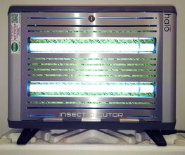 servcontrol_plagas_11.jpg