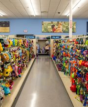 Petsense by Tractor Supply image 1