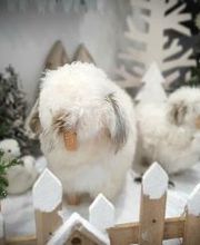 Pharmacie wellpharma de l'Aigle image 7