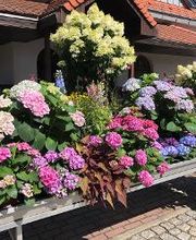 Gärtnerei Schöbel Bild 17