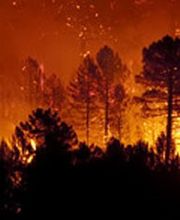 Alliance Environmental Group image 19
