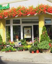 Blumen Noack Inh. Steffi Noack Bild 1