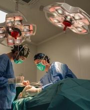 Clinique vétérinaire des Ducs de Bourgogne image 12