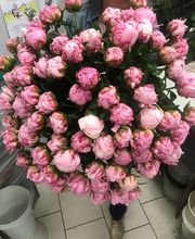 Claudy Fleurs image 4