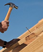 Reinoite Adriano image 1