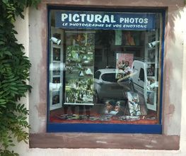 Pictural image 4