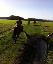 Cheval Nature image 5